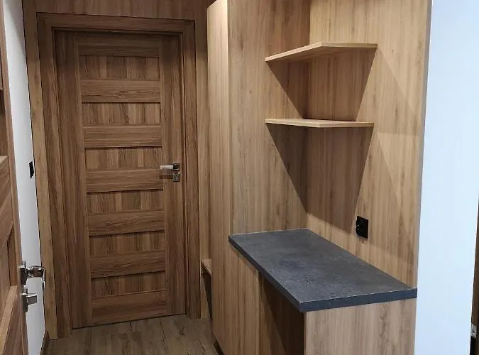 בית הארחה Zacisze I Gastronomia אולשטין